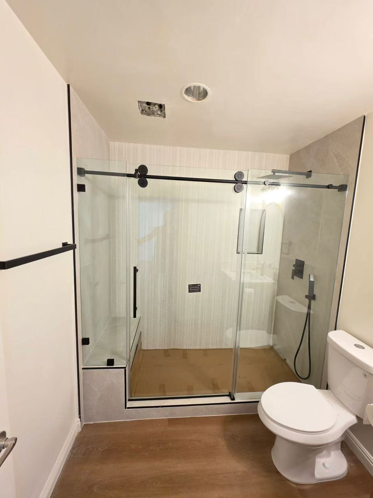 RADIANCE Shower Door - Custom Size